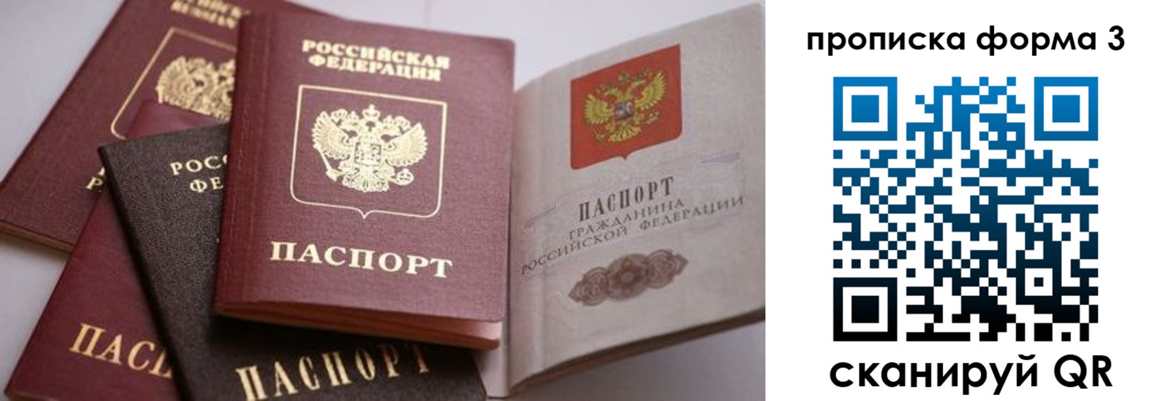 прописка для школы в Арамили